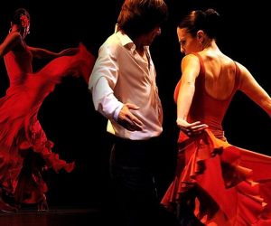flamenco